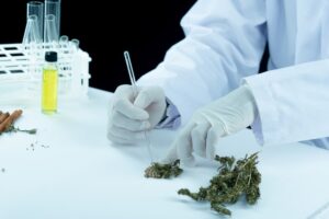 dispensary illinois